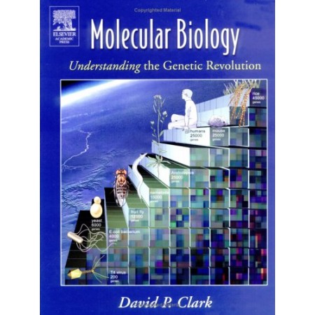 Molecular Biology: Understanding the Genetic Revolution, 1st Edition (Hardcover)