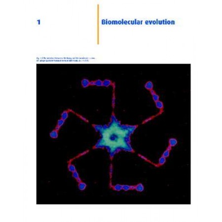 Human Molecular Biology : An Introduction to the Molecular Basis of Health and Disease, 1st Edition