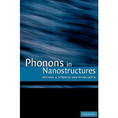 Phonons in Nanostructures, 1st Edition