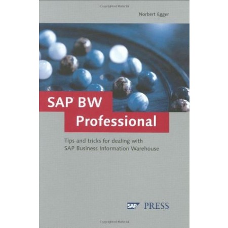 SAP BW Professional (Hardcover)