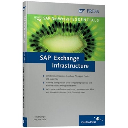 SAP Exchange Infrastructure (Hardcover)