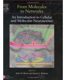 From Molecules to Networks: An Introduction to Cellular and Molecular Neuroscience, 1st Edition (Hardcover) (Include CD-Rom)