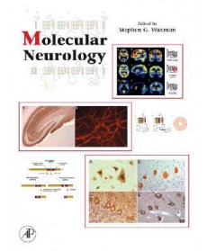 Molecular Neurology (HARDCOVER)