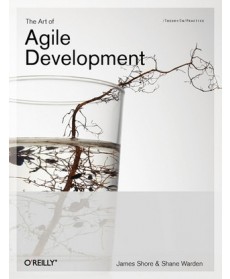 The Art of Agile Development