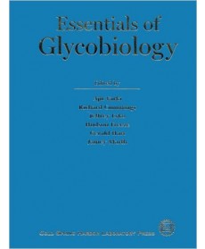 Essentials of Glycobiology