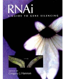RNAi: A Guide to Gene Silencing
