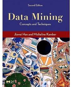 Data Mining: Concepts and Techniques, 2nd Edition
