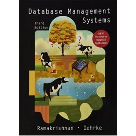 Database Management Systems, 3rd Edition