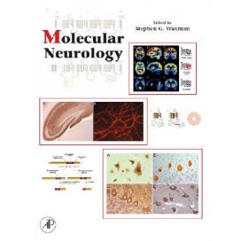 Molecular Neurology (HARDCOVER)