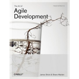 The Art of Agile Development